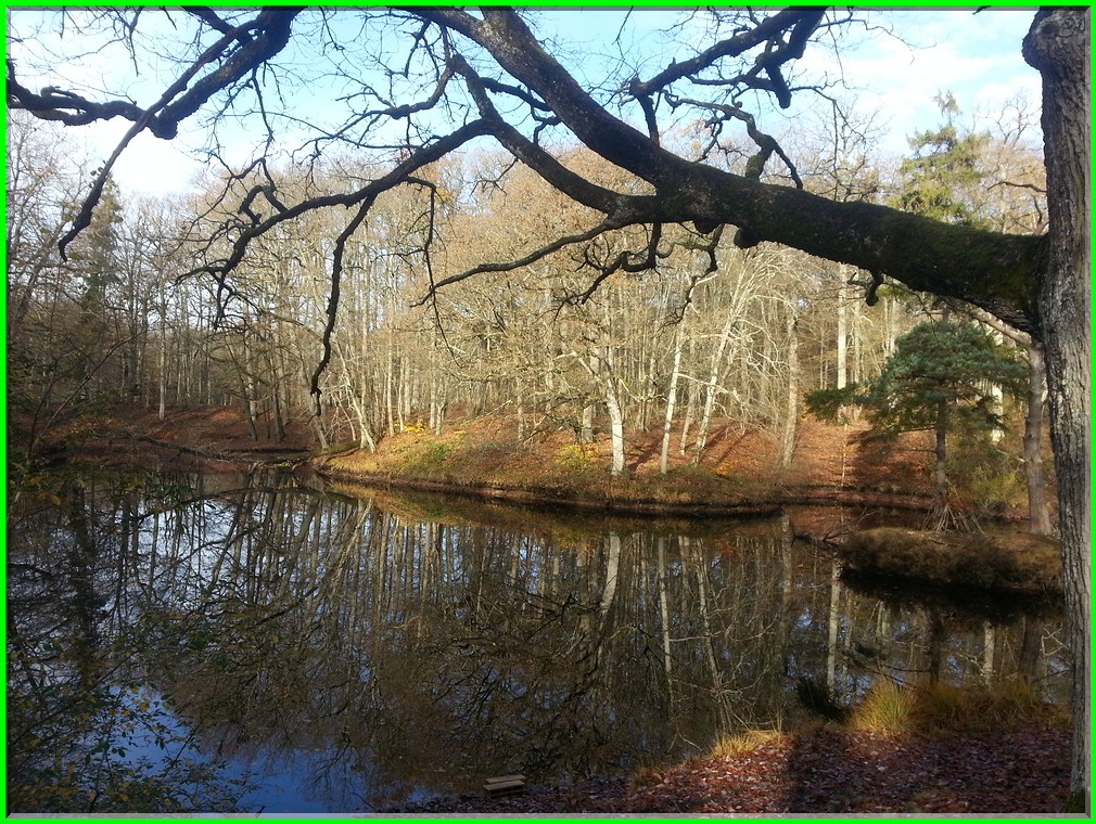 20151105_102240