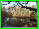 20151105_102240