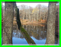 20151105_103359