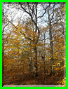 20151105_113331