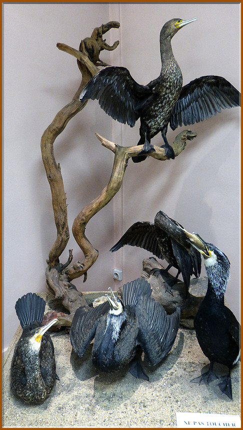P1100686