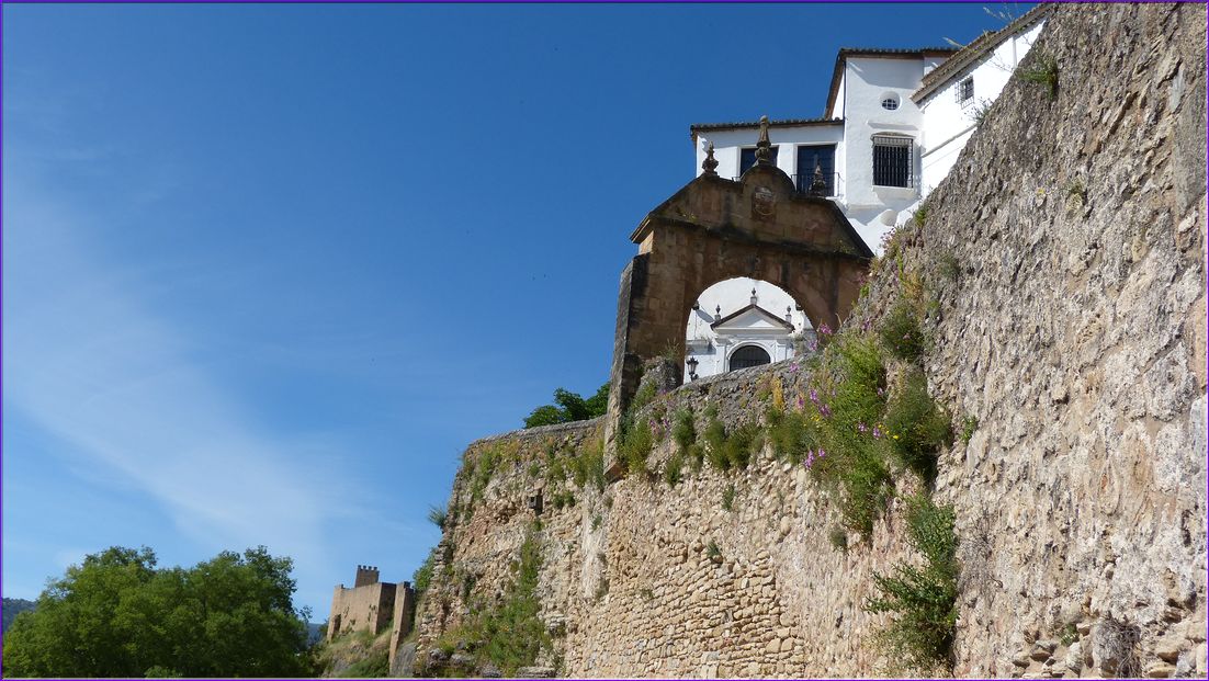 P1000274