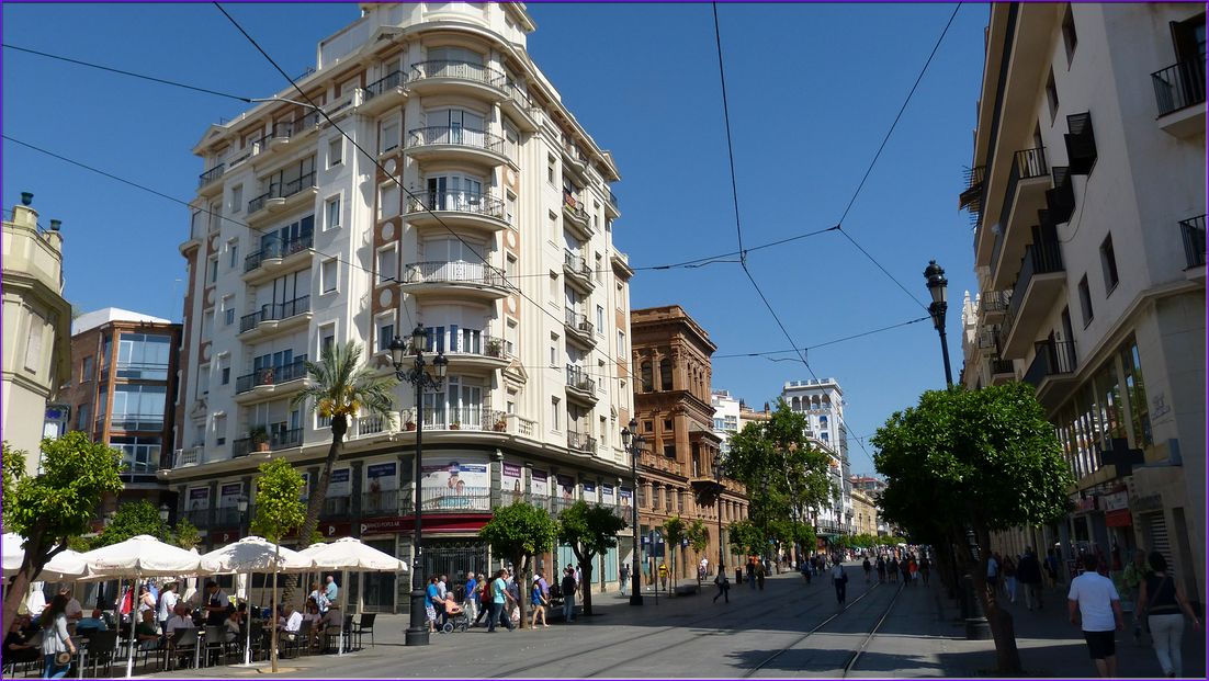 P1000441
