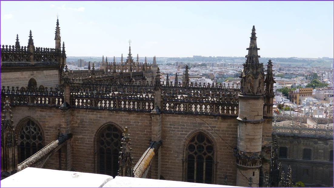 P1000561