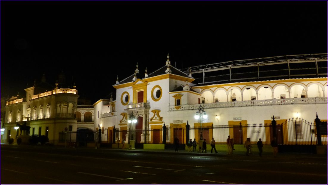 P1000878