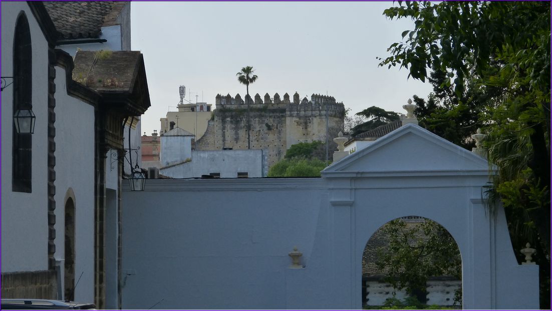P1000912