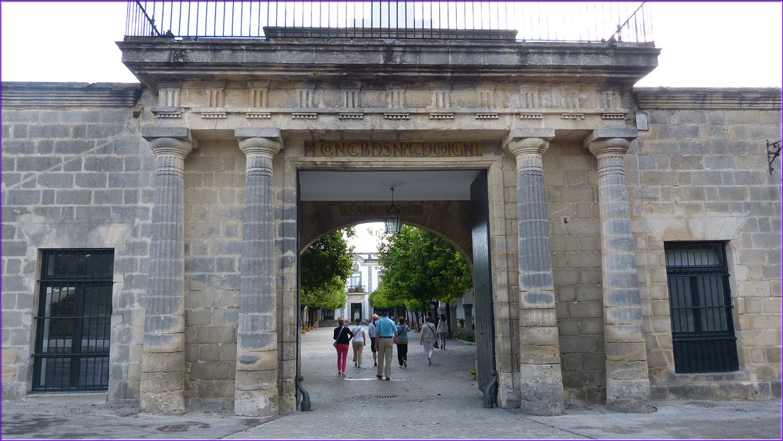 P1000913