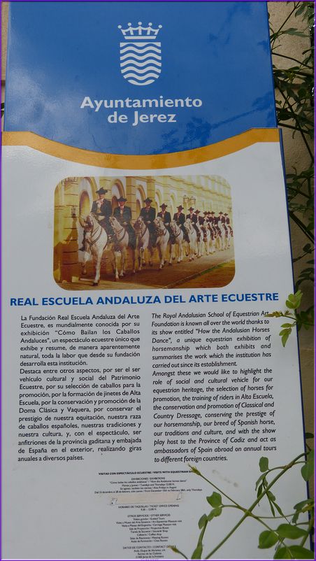 P1000948